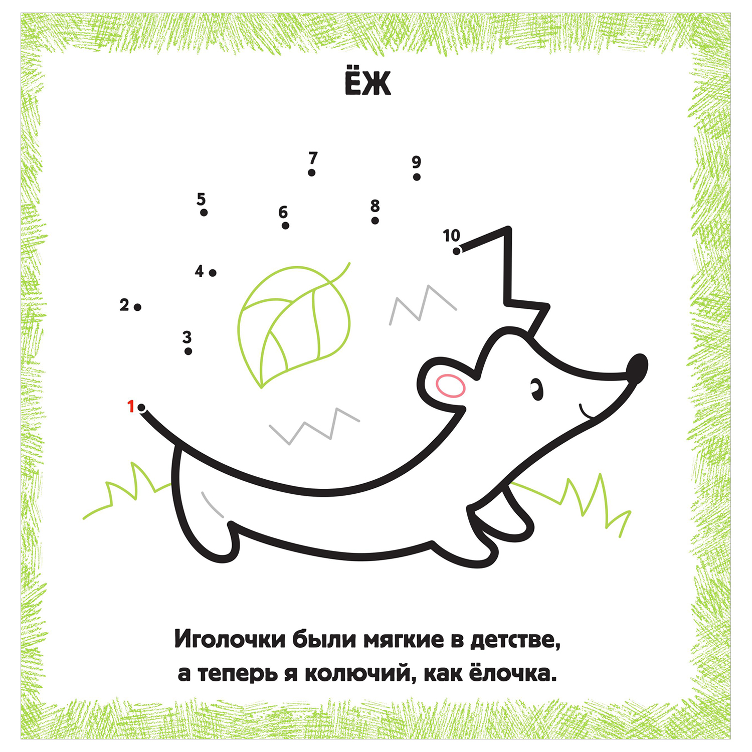 Книга IQ раскраски по точкам для самых маленьких Лесные зверята - фото 2