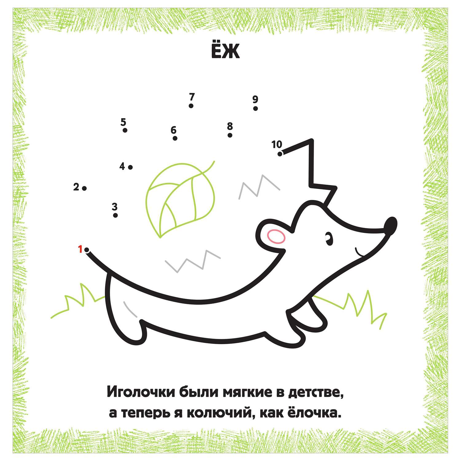 Книга IQ раскраски по точкам для самых маленьких Лесные зверята - фото 2