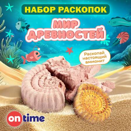 Набор для раскопок ON TIME