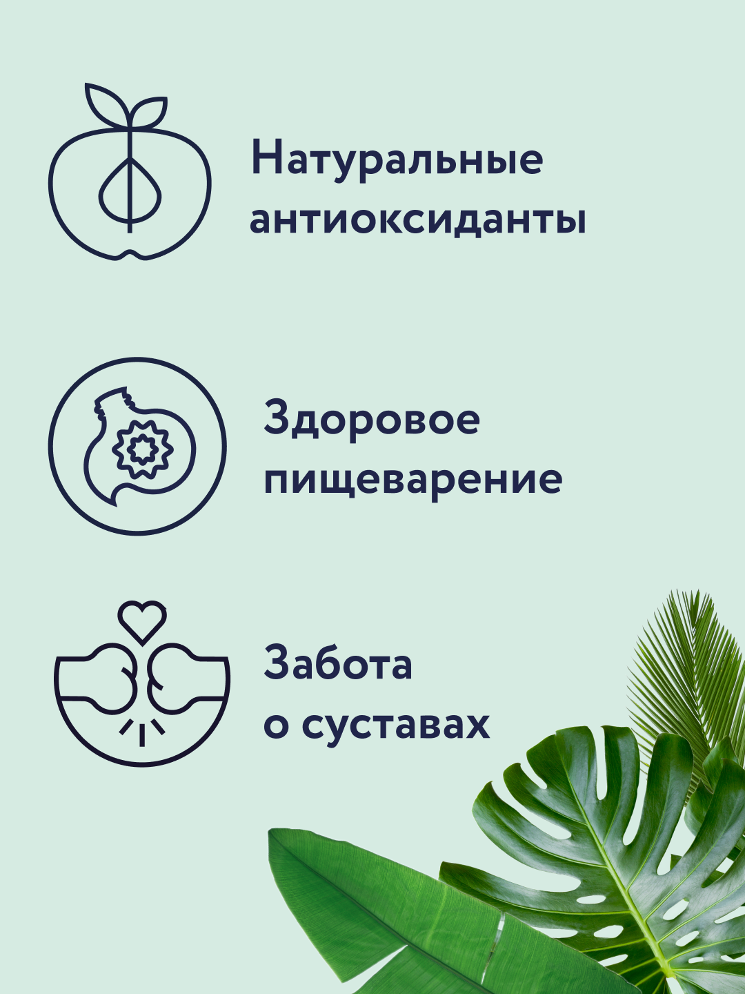 Корм для собак крупных пород сухой Florida Maxi Adult Lamb с ягненком и грушей 3кг - фото 2