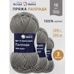 Пряжа Astra Premium Паллада акриловая 100 г 100 м 15 темно-серый 3 мотка