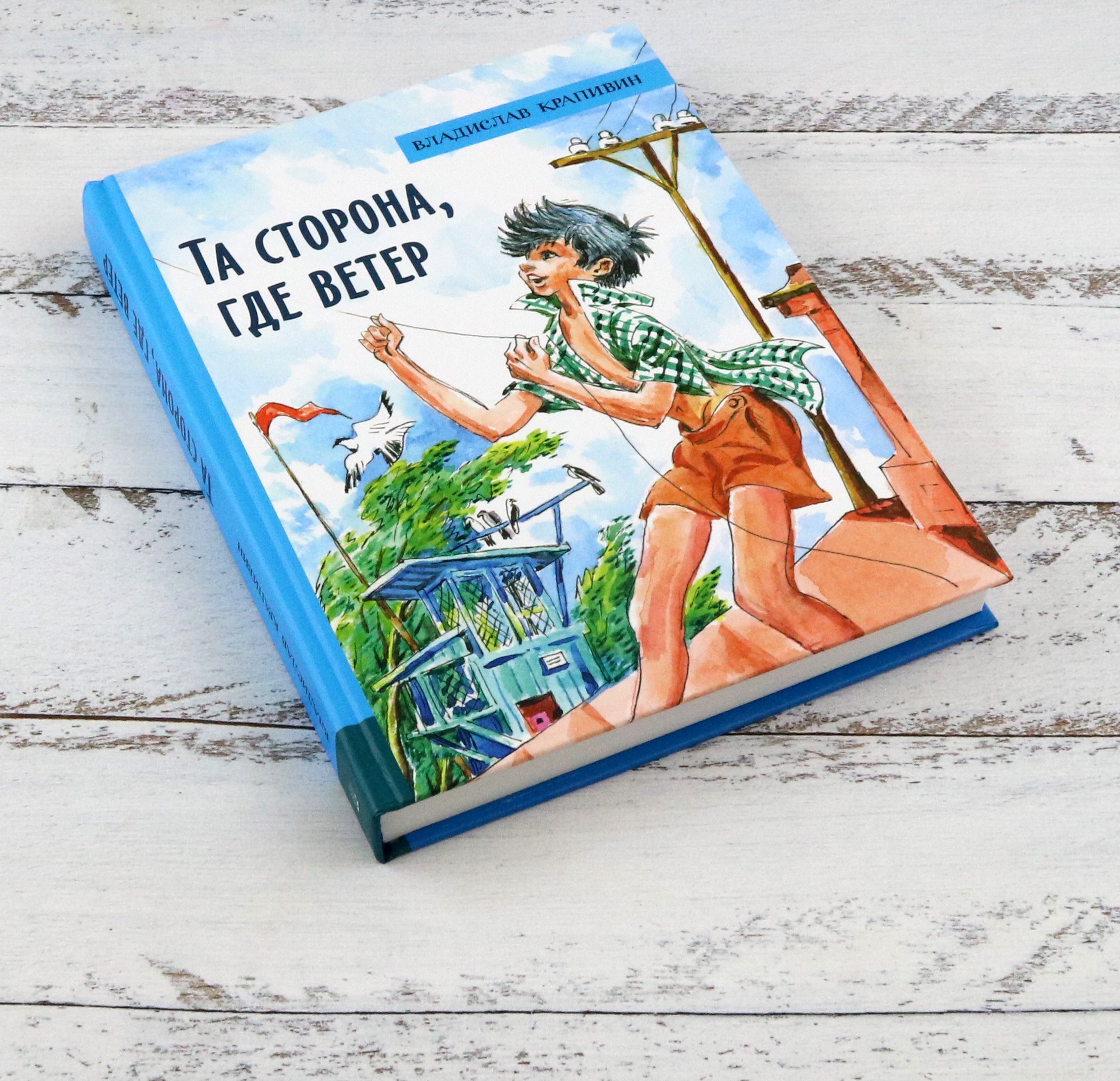 Книга Лабиринт Та сторона, где ветер - фото 10