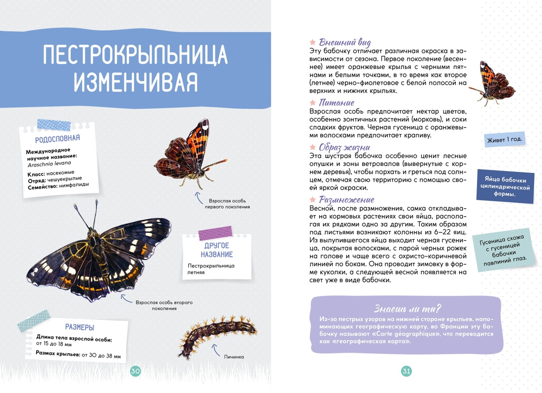 Книга Махаон Весь мир природы для школьника Комплект из 2 х книг - фото 7