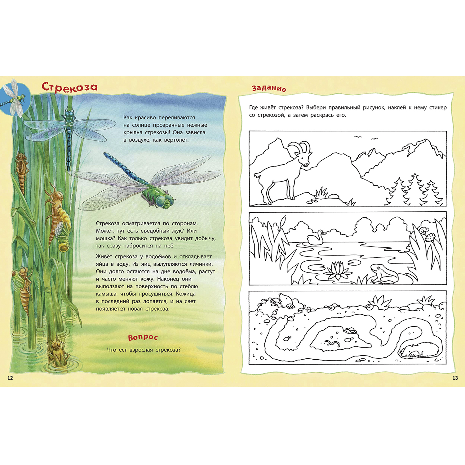 Книга ЭНАС-книга Как живут насекомые? - фото 5