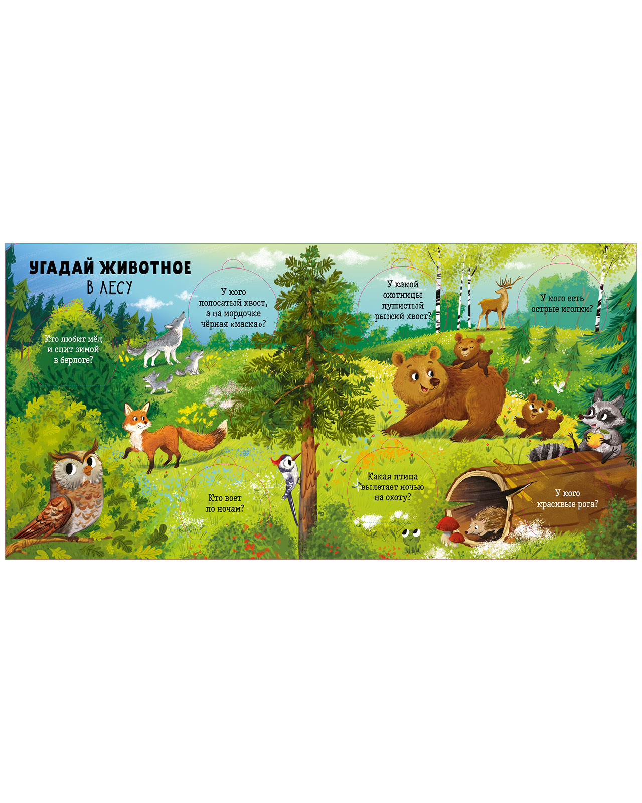 Книга Clever Животные - фото 4
