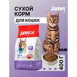 Корм сухой Jump! Для кошек