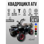 Квадроцикл TOYLAND ХМХ651 С пультом ДУ