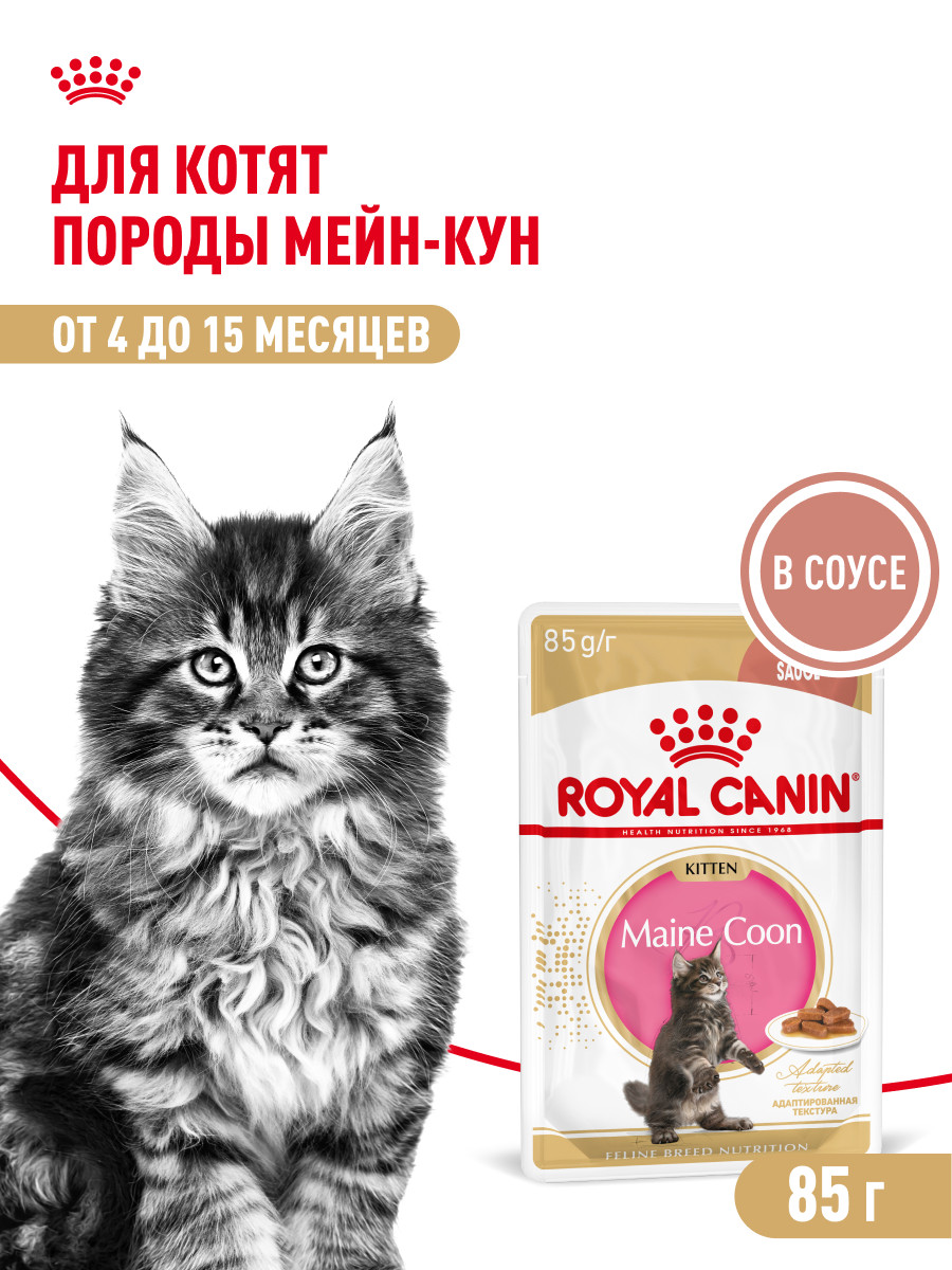 Корм для котят Royal Canin 85г Maine Coon Kitten соус для котят мейн кун пауч - фото 1