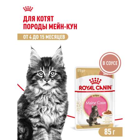 Корм для котят Royal Canin 85г Maine Coon Kitten соус для котят мейн кун пауч