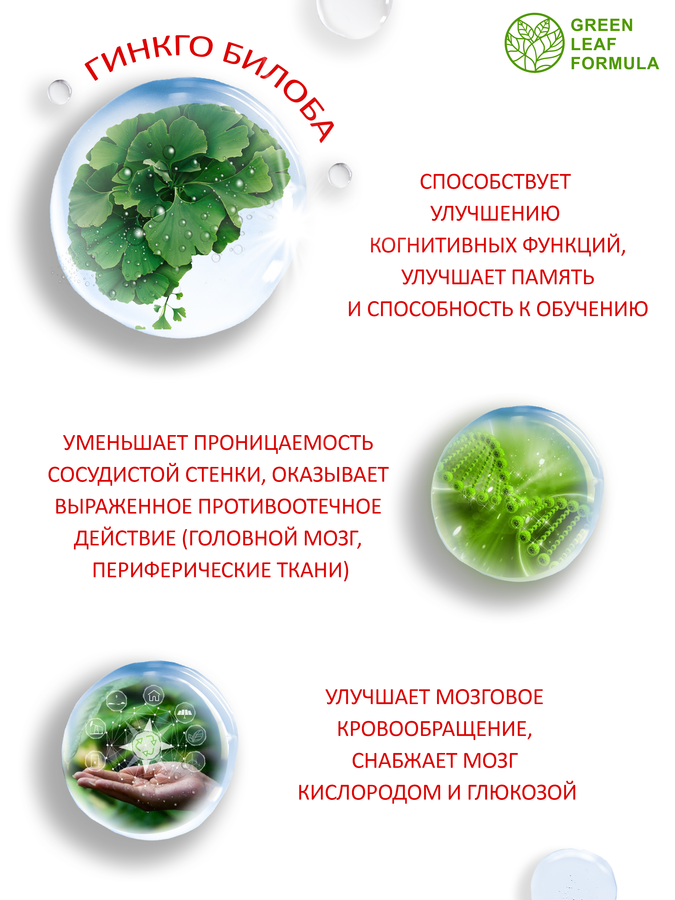Витамины для мозга Green Leaf Formula для нервной системы триптофан глицин для памяти внимания от стресса и депрессии - фото 6