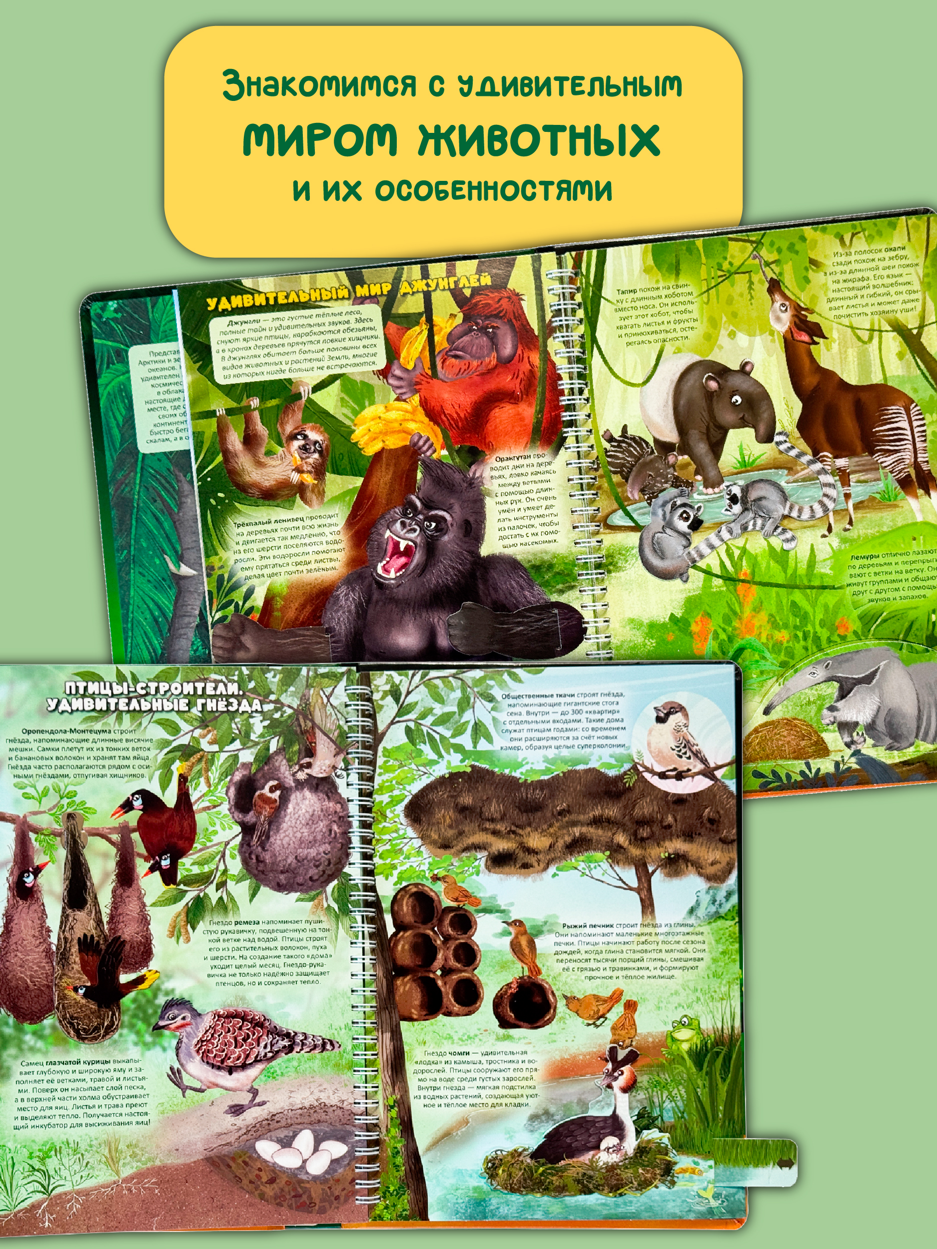 Интерактивная энциклопедия БимБиМон Атлас земли. Животные - фото 2