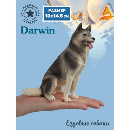 Фигурка DARWIN Собака Хаски