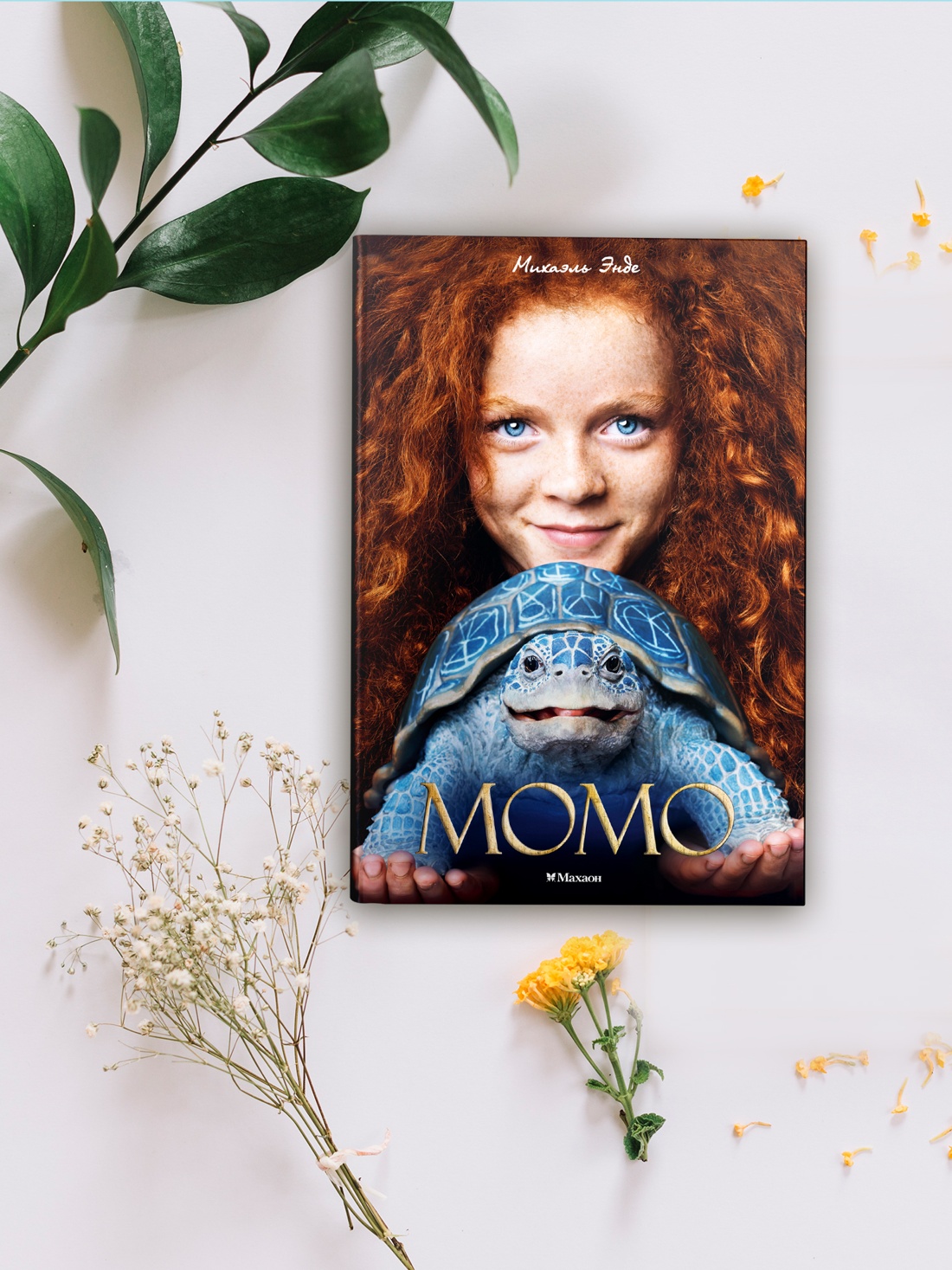 Книга Махаон БескИст Энде М Момо кинообложка - фото 9