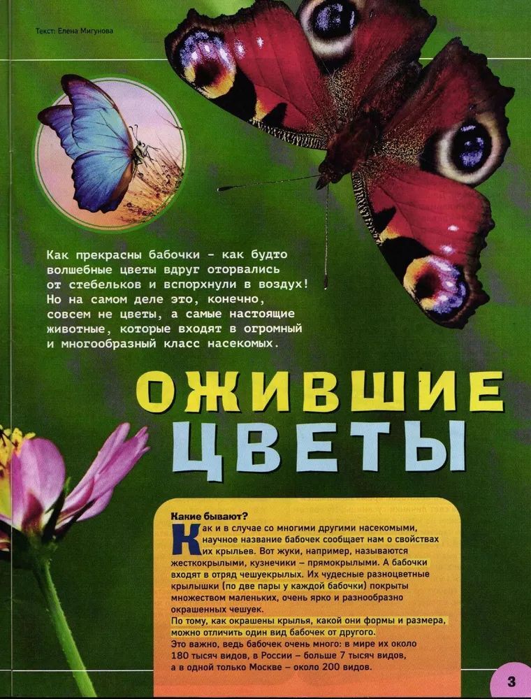 Набор журналов ИД Лев Детские журналы - фото 5