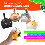 Сквиш Ball Masquerade Мяшка мурлыка в ассортименте