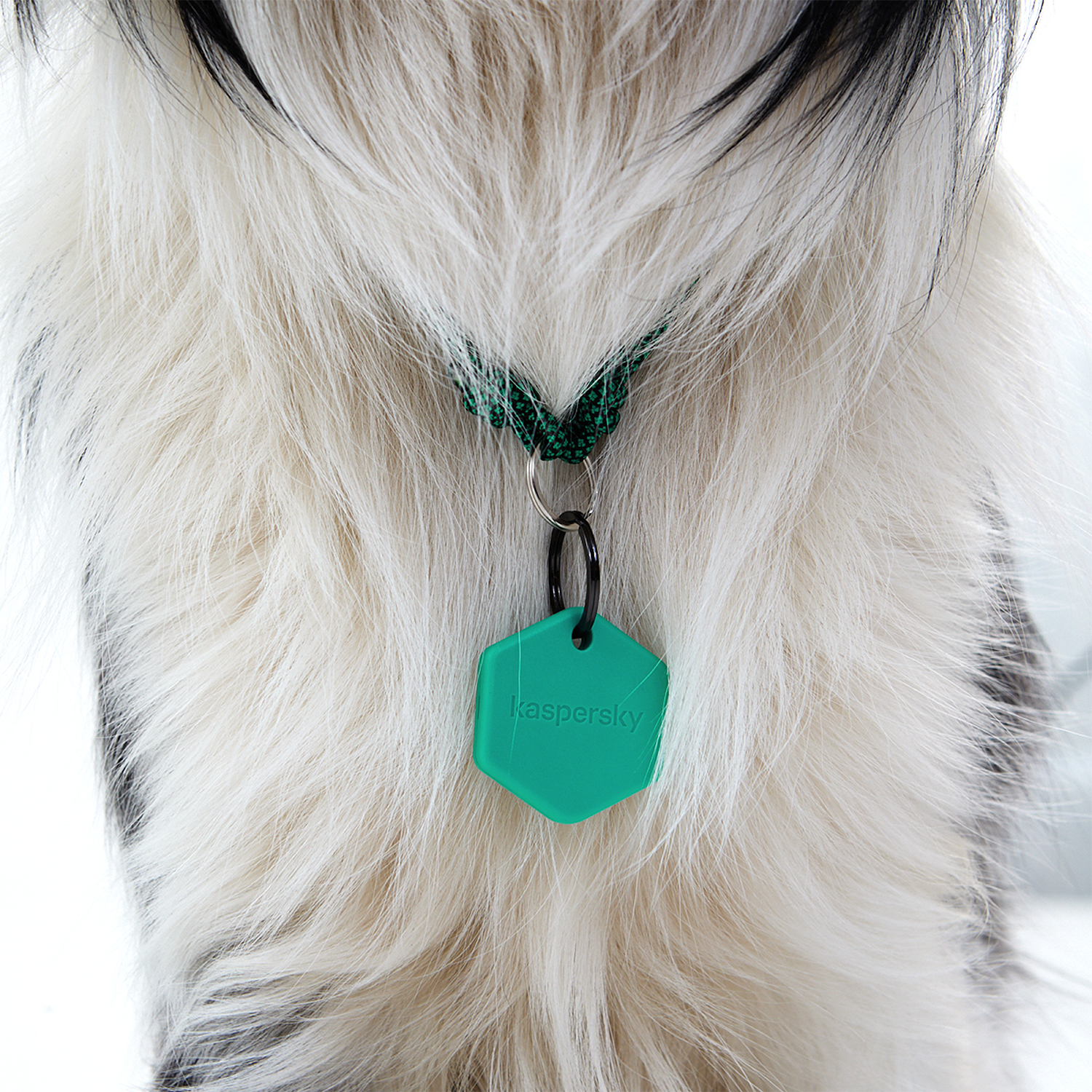 Умный трекер для животных Kaspersky Tag с силиконовым чехлом - фото 3