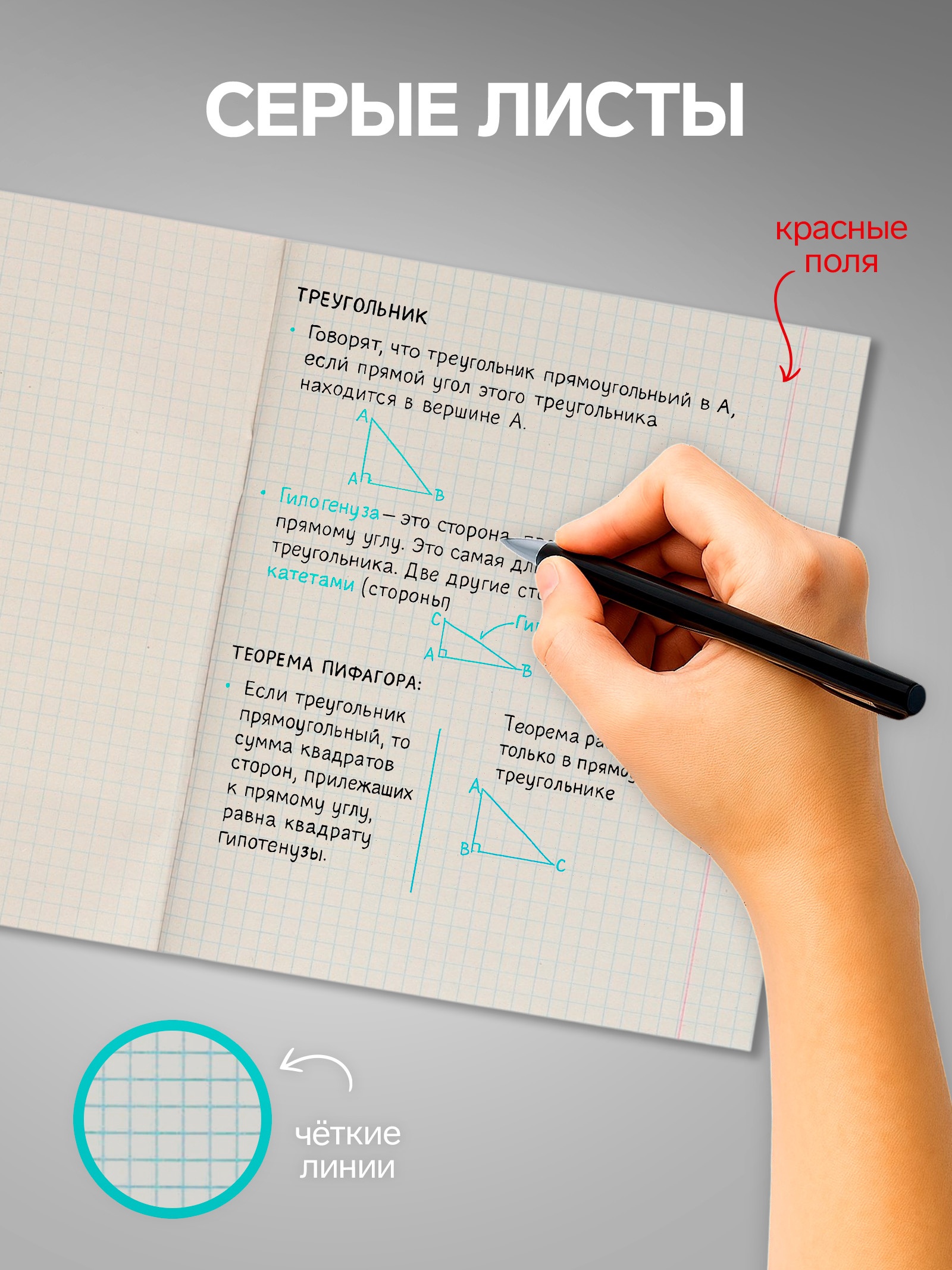 Тетрадь Calligrata клетка - фото 3