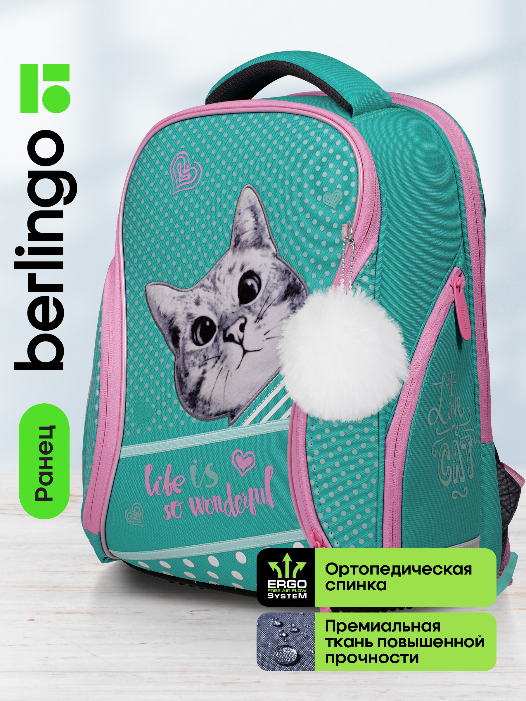 Ранец BERLINGO Curious cat - фото 1