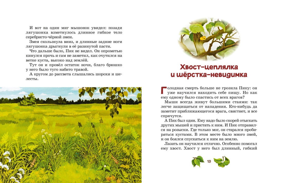 Книга Махаон КласМульт Бианки В Мышонок Пик - фото 13