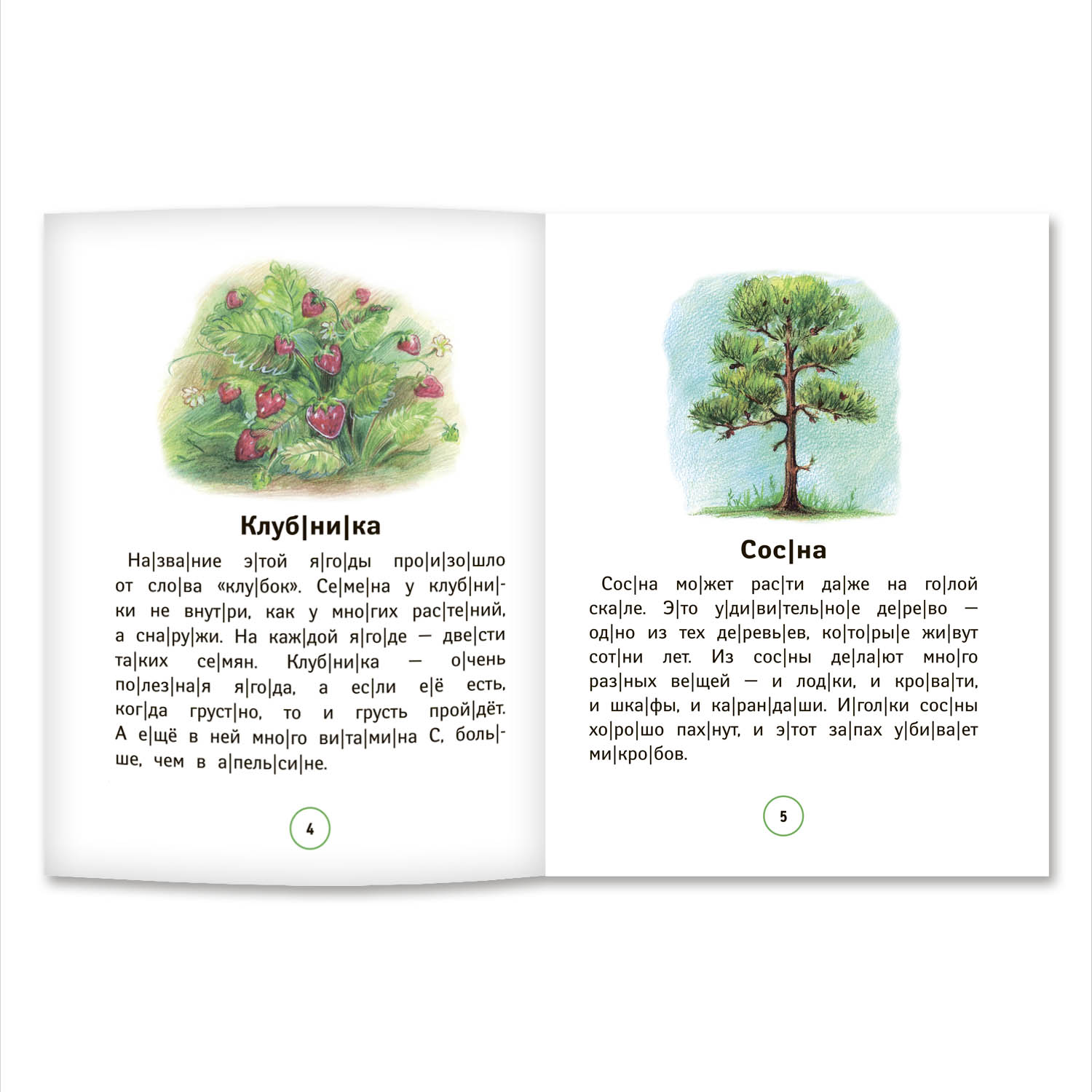 Книга Феникс Познавательные тексты для чтения: растения - фото 2