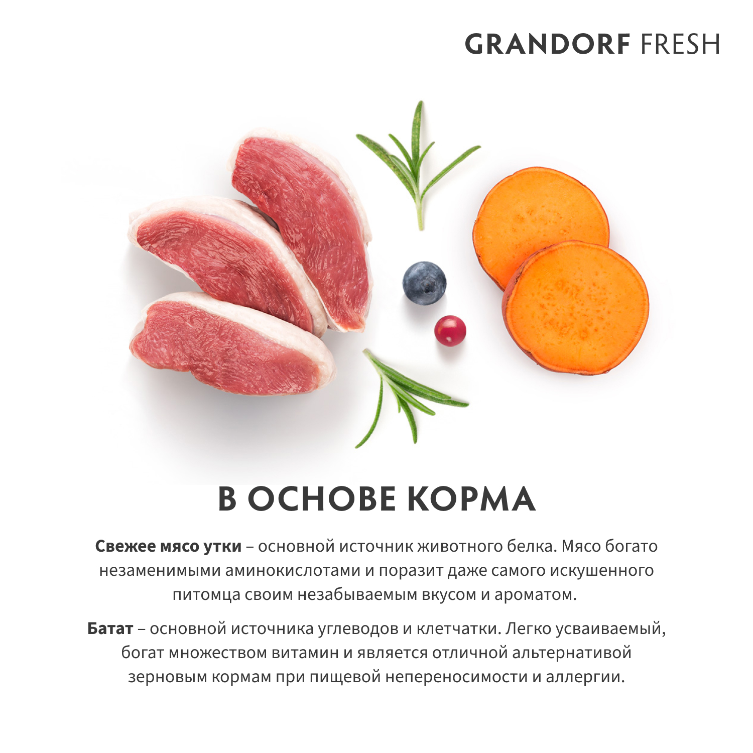 Корм для собак GRANDORF FRESH Fresh Dog Adult Mini Duck/Sweet Potato мелких пород Свежее мясо утки 3кг беззерн с жив пробиотиками - фото 3