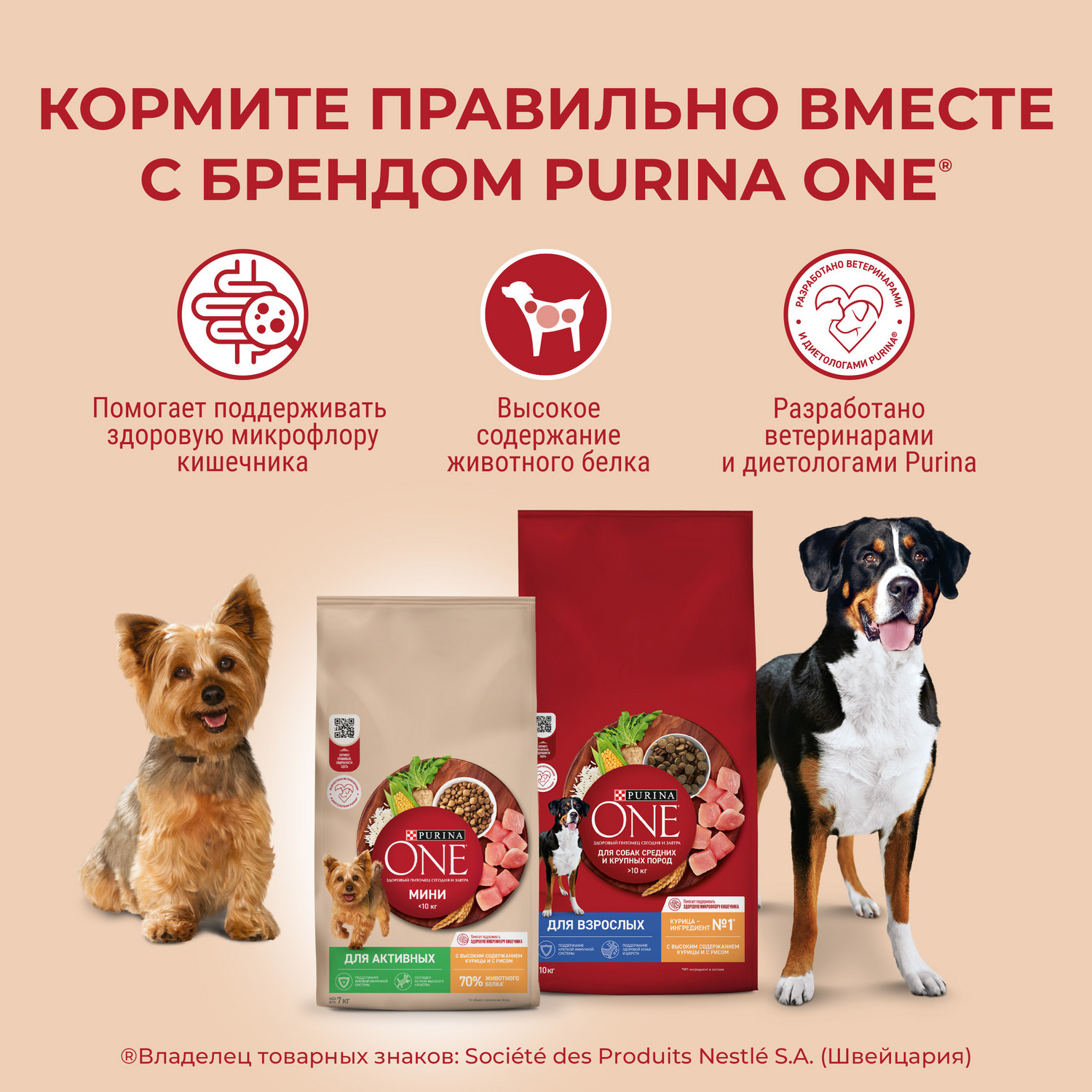 Корм для собак Purina One средних и крупных пород говядина-рис 1.8кг - фото 3