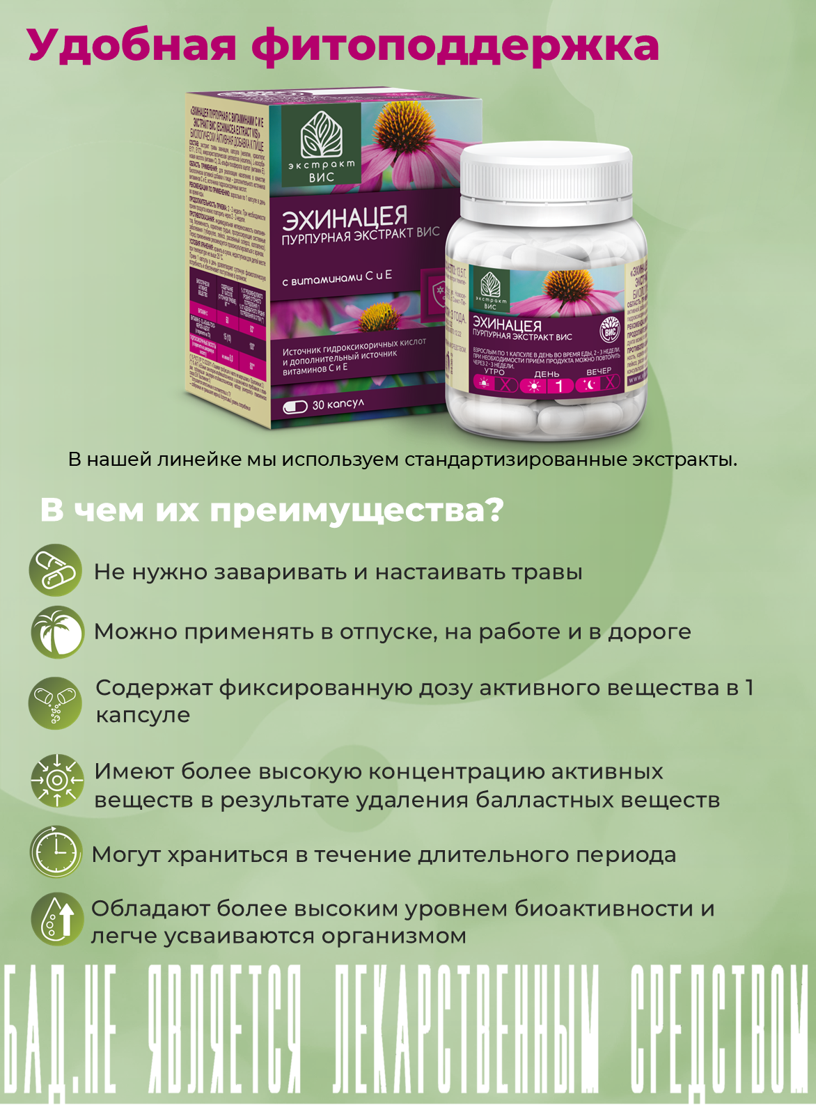 БАД Экстракт-ВИС Эхинацея пурпурная с витаминами С и Е - фото 10