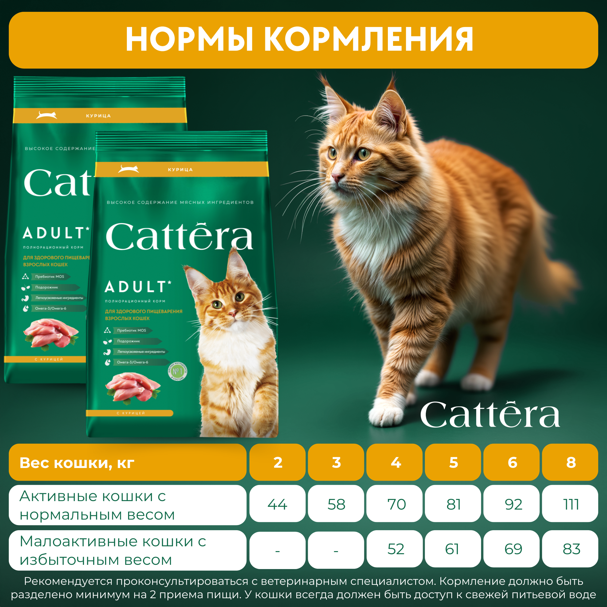 Корм сухой для кошек Cattera полнорационный с курицей 0,7 кг - фото 7