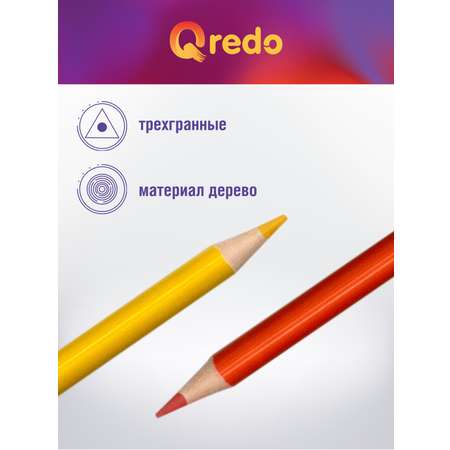 Карандаши цветные Qredo 12 шт.