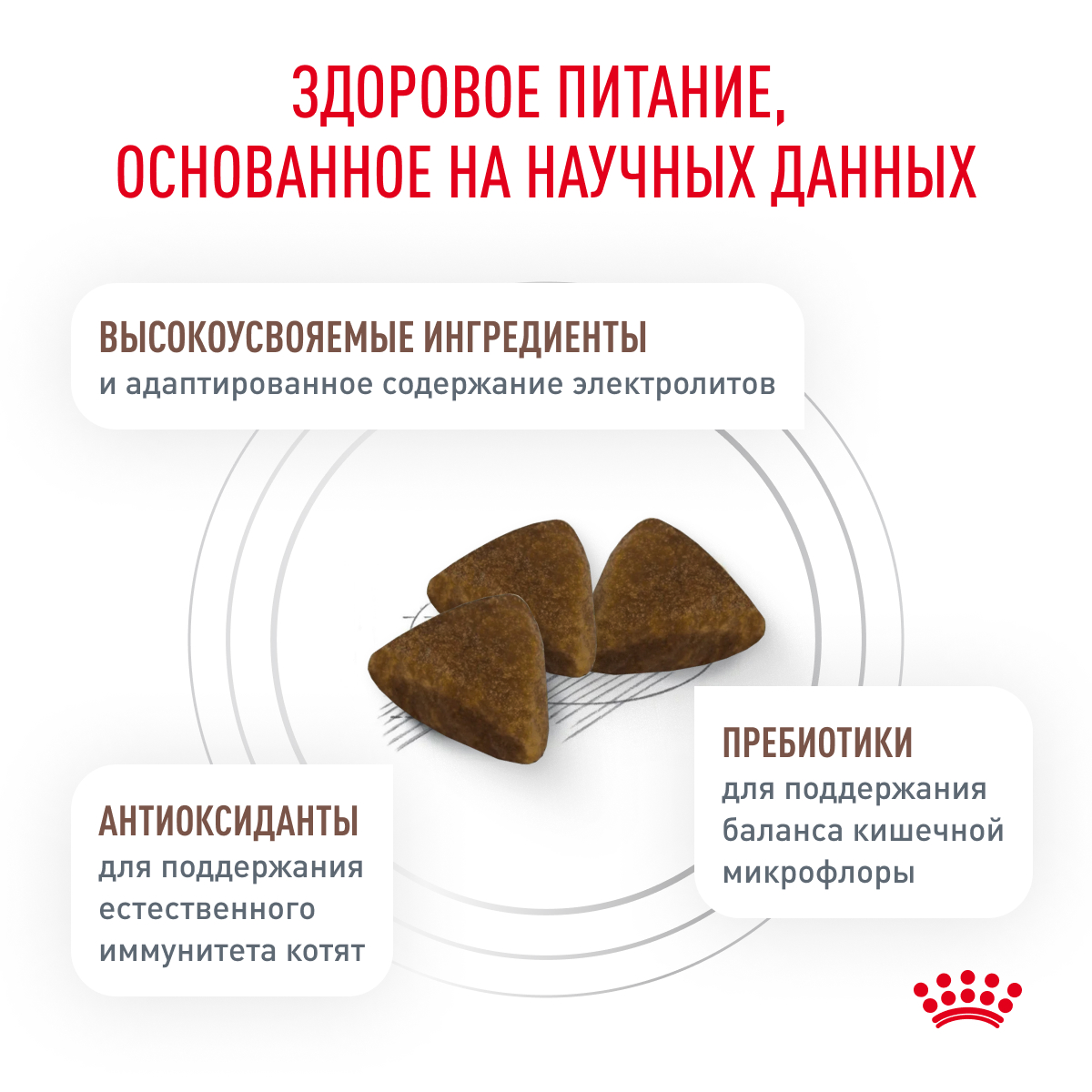 Корм для котят ROYAL CANIN Gastrointestinal kitten при нарушениях пищеварения 350г - фото 4