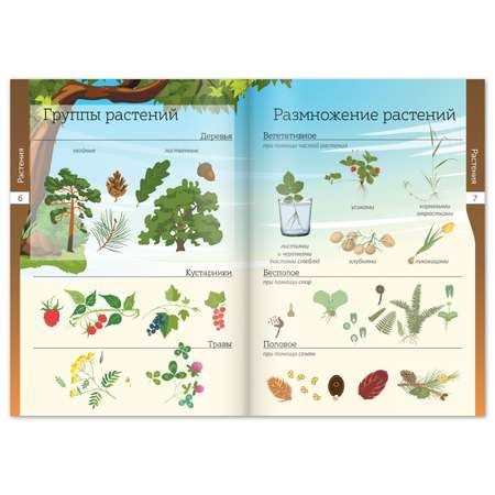 Набор книг-шпаргалок Буква-ленд Мир природы и человека Буква-ленд