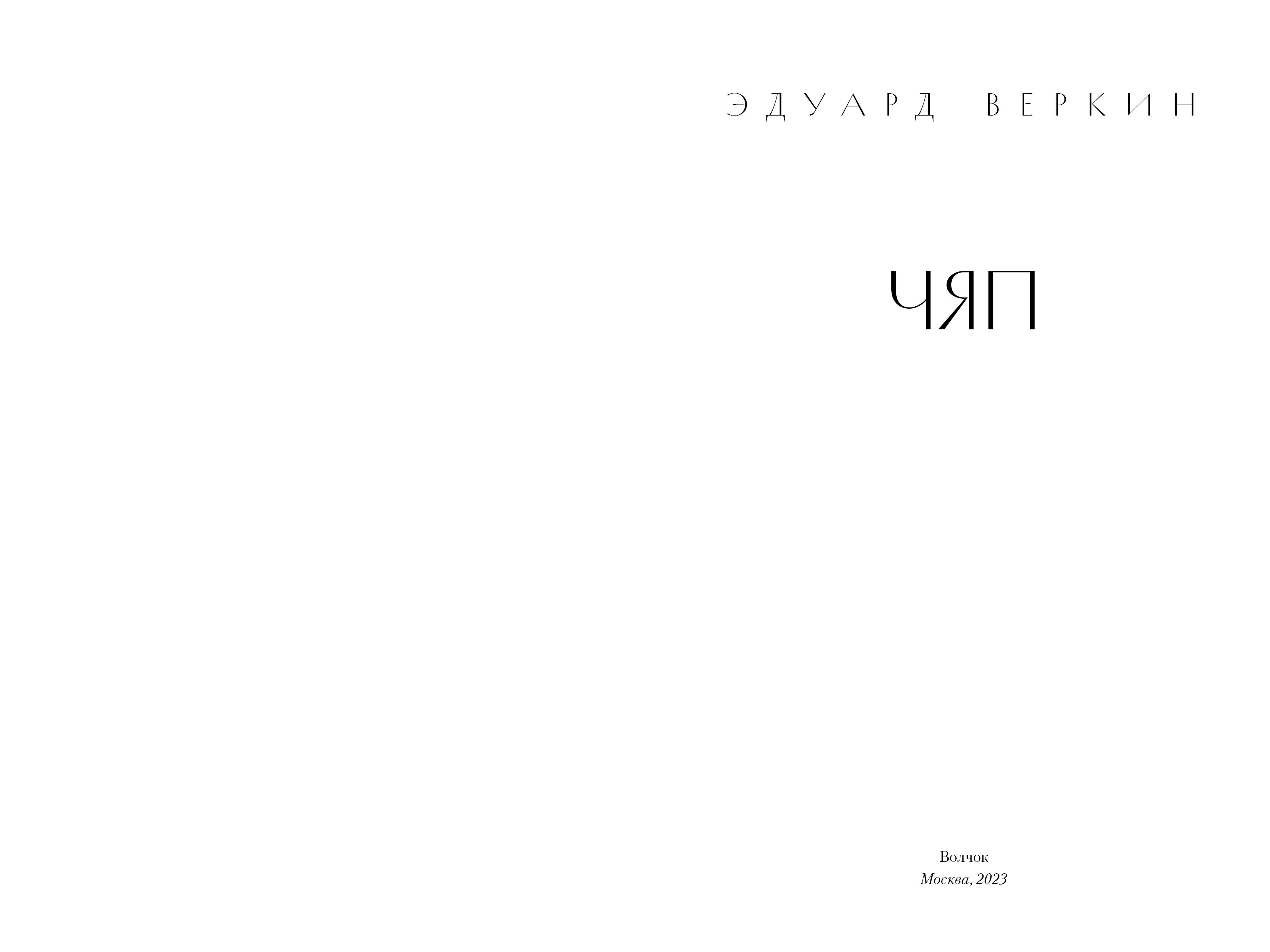 Книга Волчок Чяп - фото 4