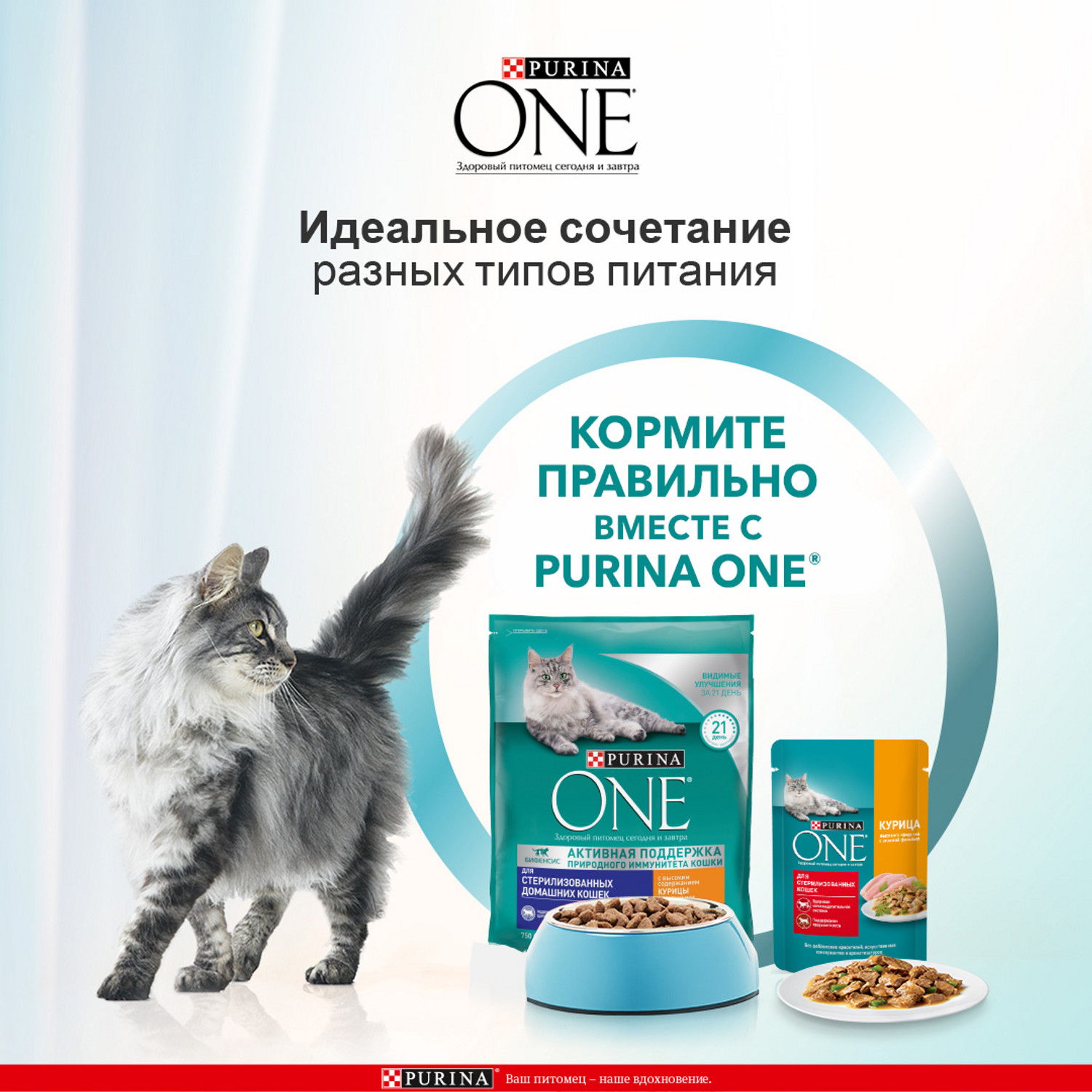 Корм для кошек Purina One стерилизованных курица-цельные злаки 750г - фото 5