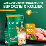 Корм сухой для кошек Cattera полнорационный с курицей 0,7 кг