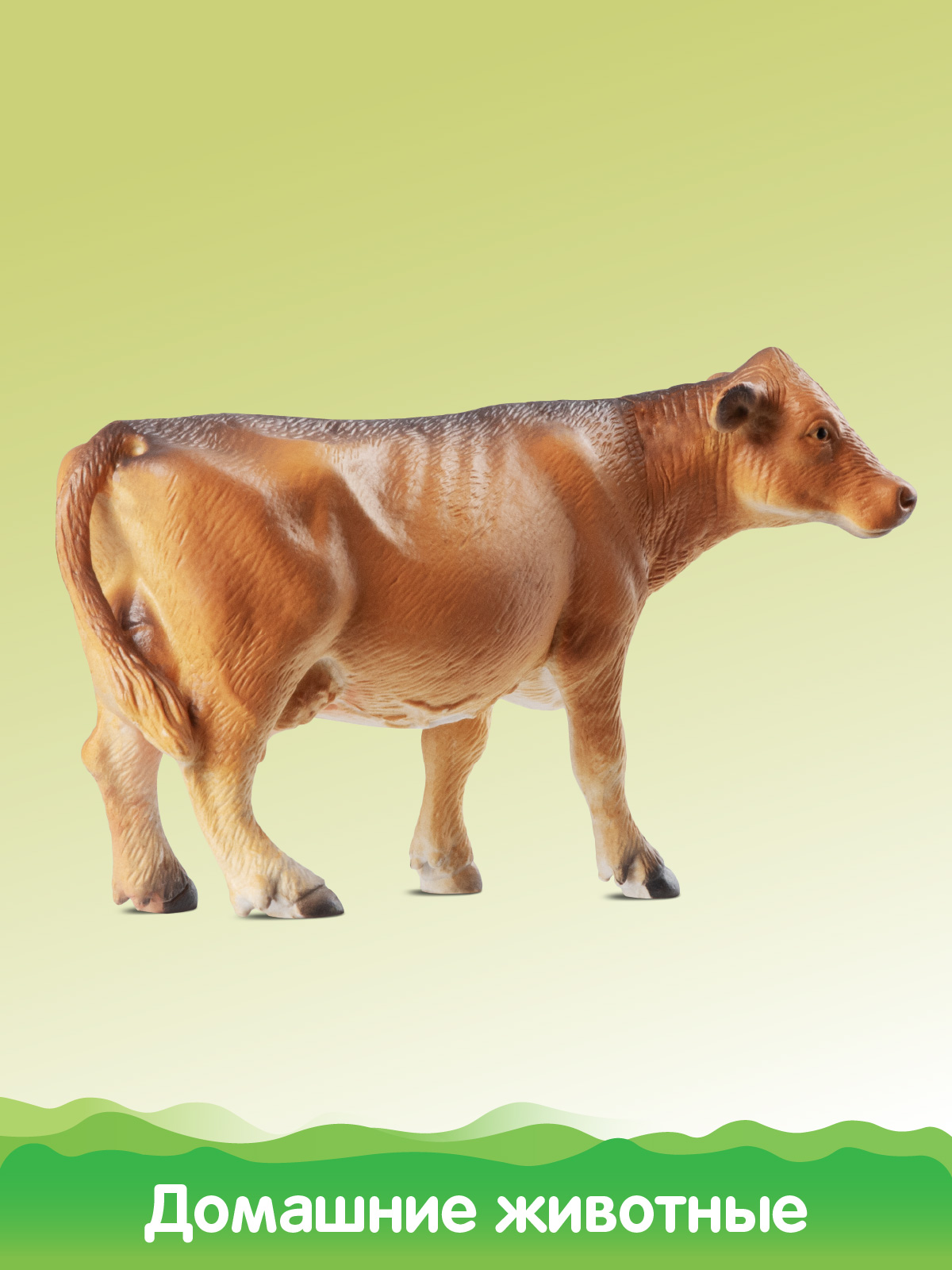 Игровой набор DARWIN Домашние животные 6шт - фото 7