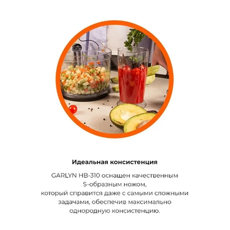 Погружной блендер GARLYN HB-310