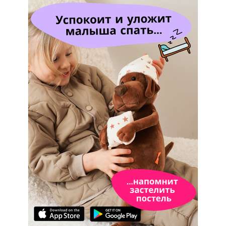 Игрушка мягкая ДРУГ ЕНОТ собачка 29 см