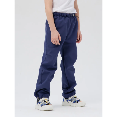 Брюки Lemonwear
