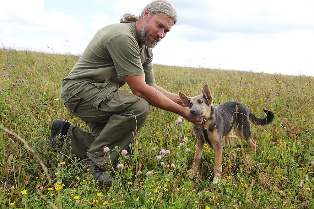 Собака Рига - фото 4