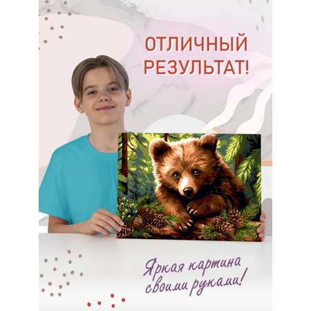 Картина по номерам Attivio Мишка