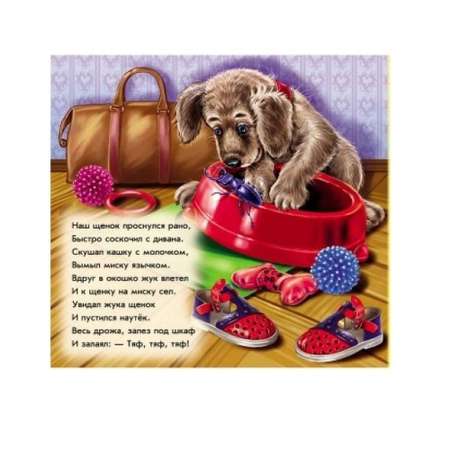 Игрушка РАНОК книжка