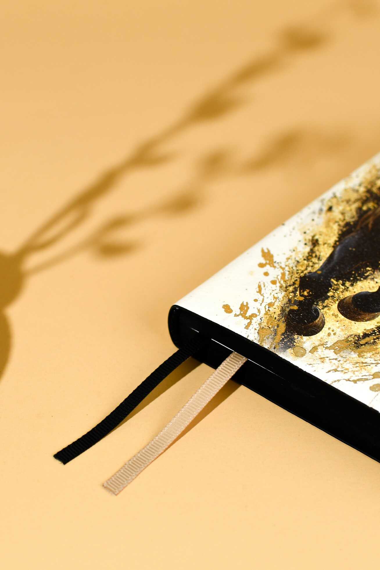 Ежедневник Феникс + ESCALADA 176 лист. - фото 14