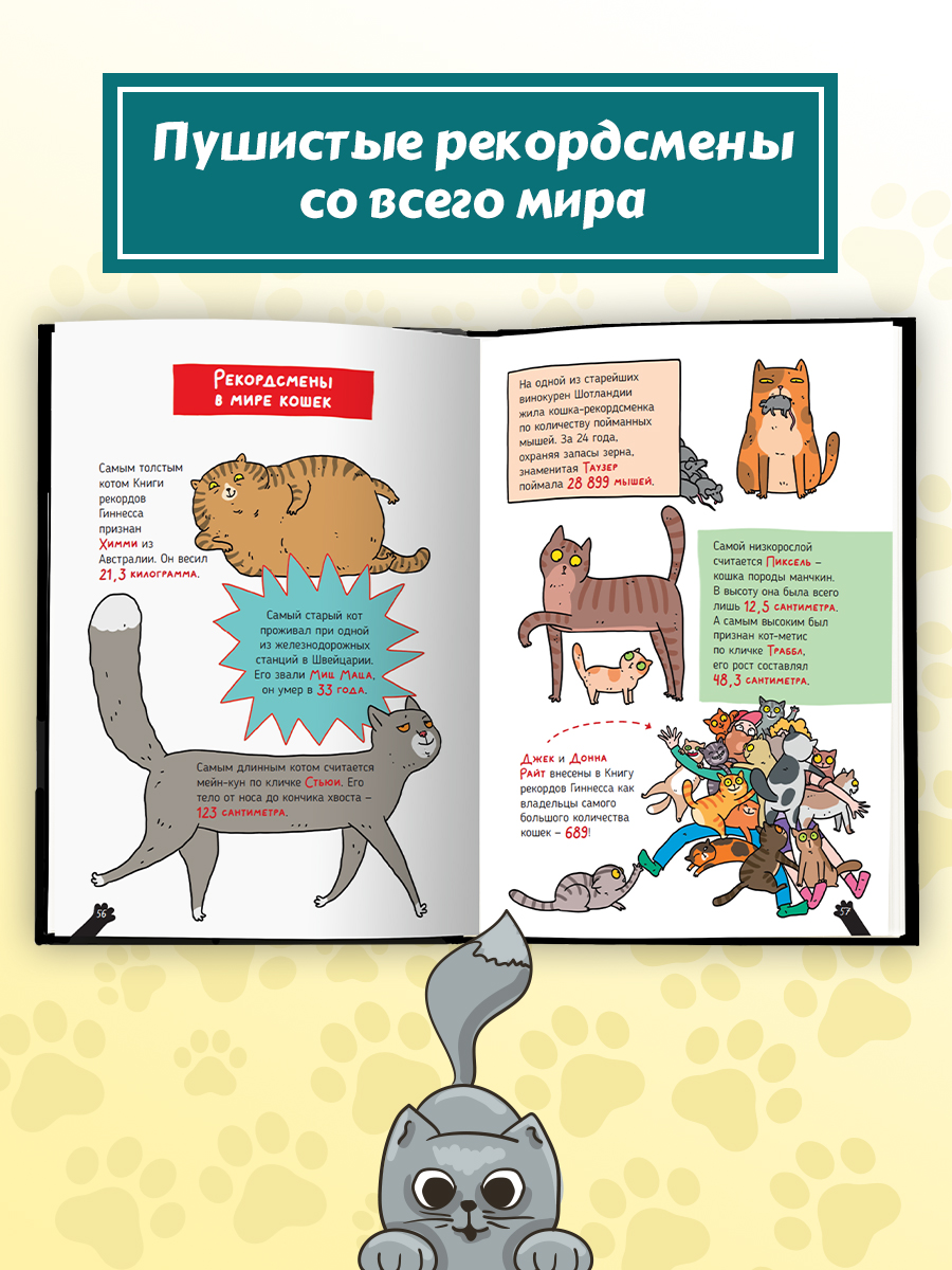 Книга Проф-Пресс детская энциклопедия Кошки. Большие секреты маленьких хищников - фото 8
