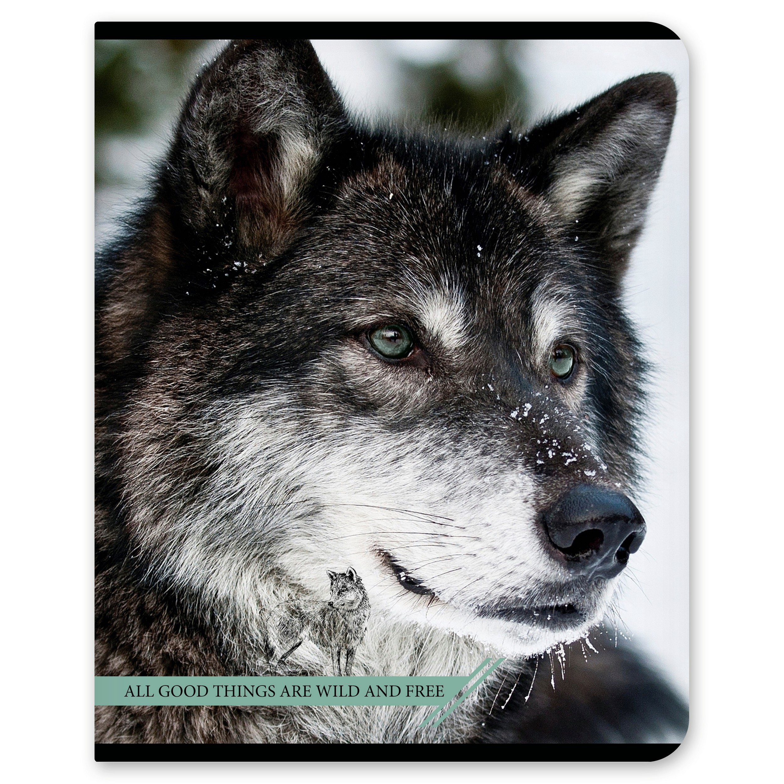 Общая тетрадь Полиграф Принт клетка 96 лист. в ассортименте - фото 6