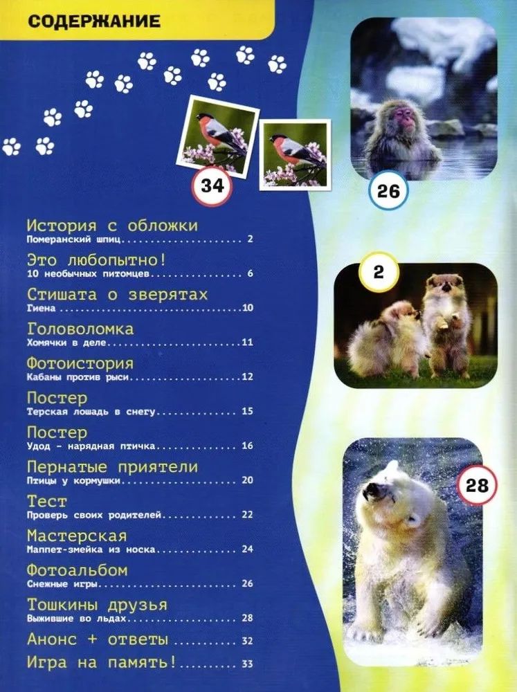 Набор детских журналов ИД Лев Тошка 1/25 и 6/25 - фото 8