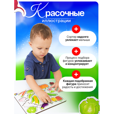 Игрушка ГРАТ сортер Овощи
