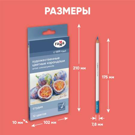 Карандаши акварельные Гаммa 12 шт.