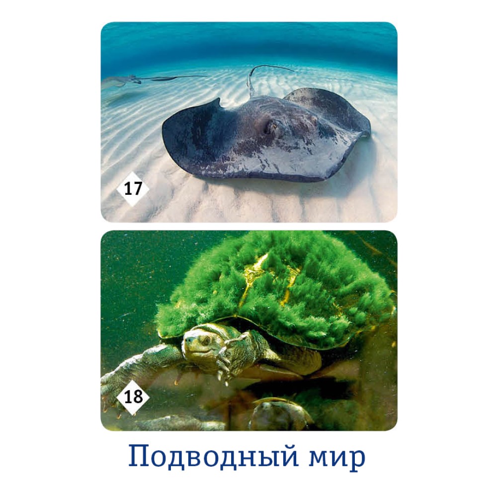 Настольная игра Нескучные игры Мемо - фото 11