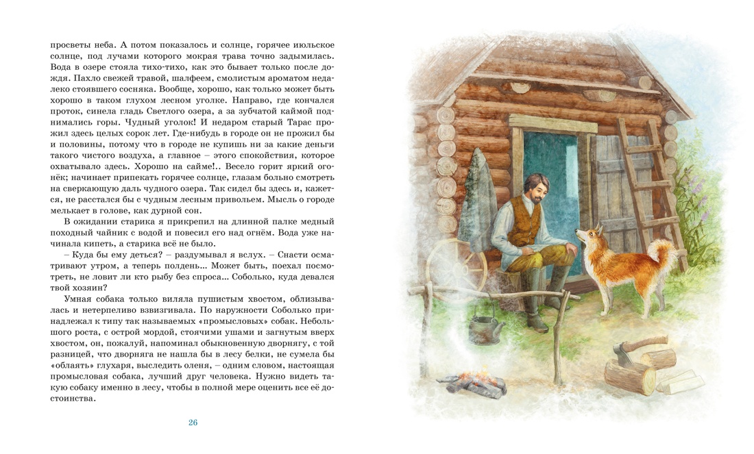 Книга Махаон Серая шейка - фото 10