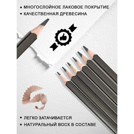 Графит ACMELIAE 12 шт.